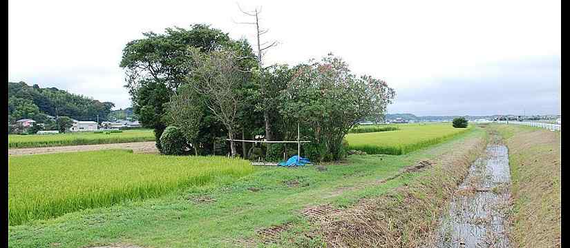 hitachifudoki7525.jpg